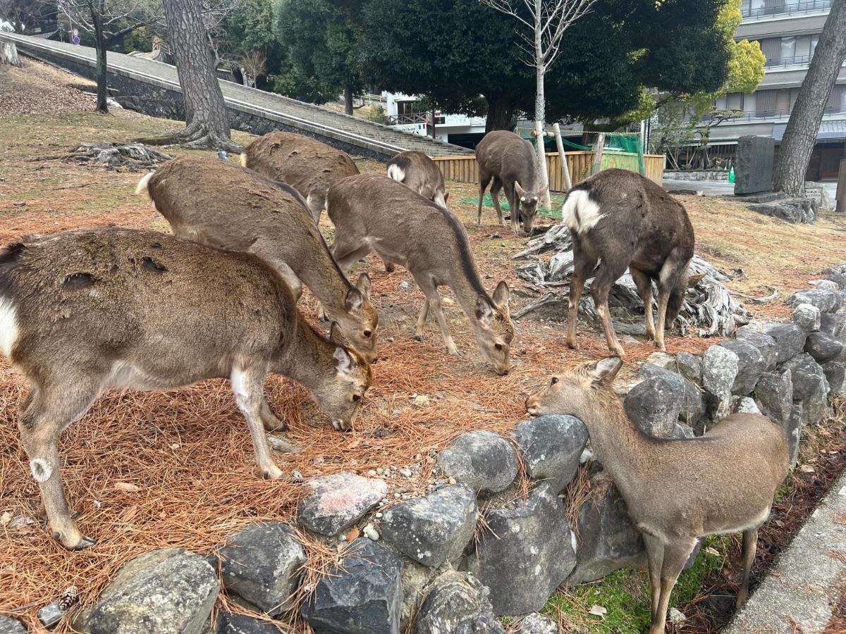 奈良 江泉旅馆酒店 外观 照片